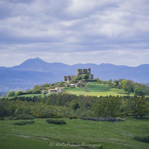 Vallée du Madet avril 2024 by @NataFranceAuvergne-4333